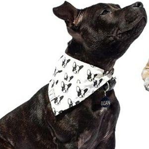 Frenchie French Bulldog Terrier Sustainable Cotton Dog Bandana By G.A.S.
